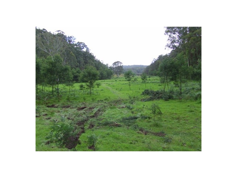 Putty NSW 2330