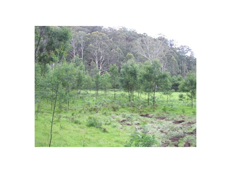 Putty NSW 2330