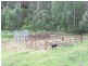 Putty NSW 2330