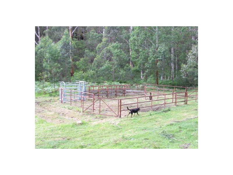 Putty NSW 2330