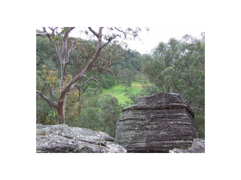 Putty NSW 2330