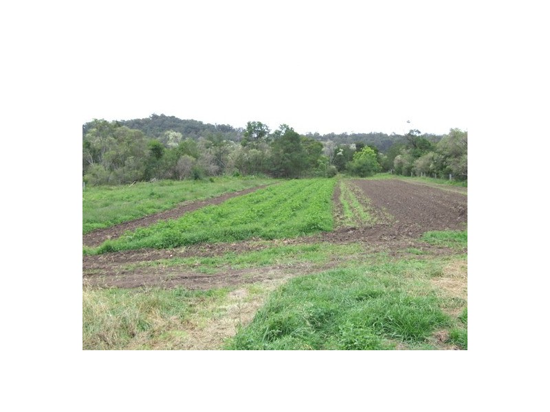 Putty NSW 2330
