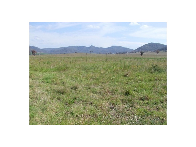 Sandy Hollow NSW 2333