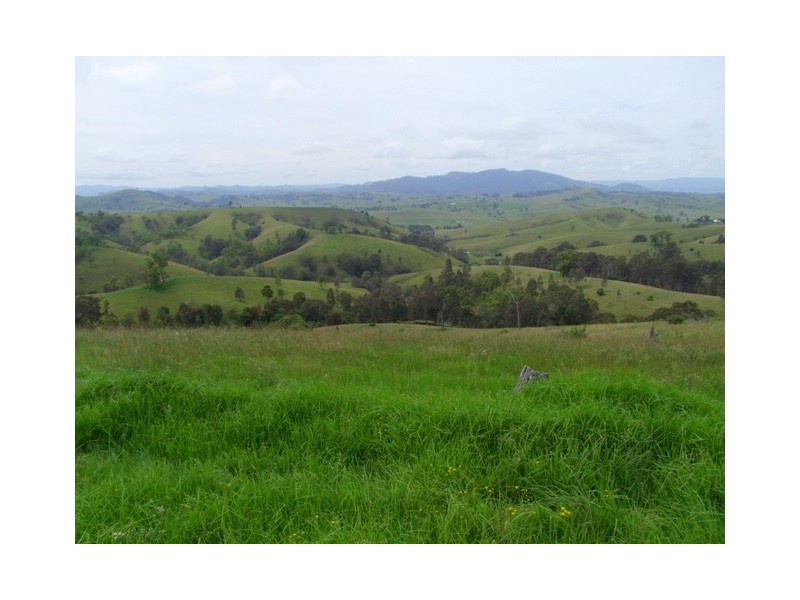 Singleton NSW 2330
