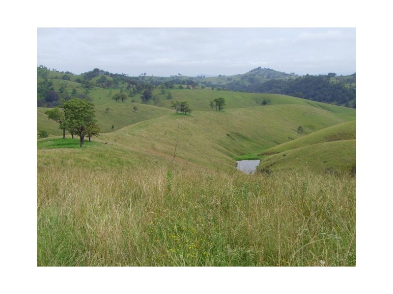Singleton NSW 2330