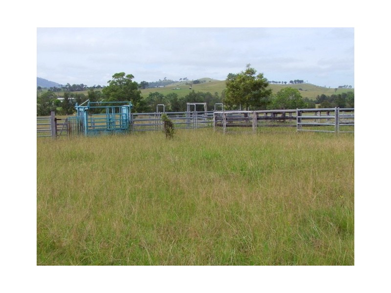 Singleton NSW 2330