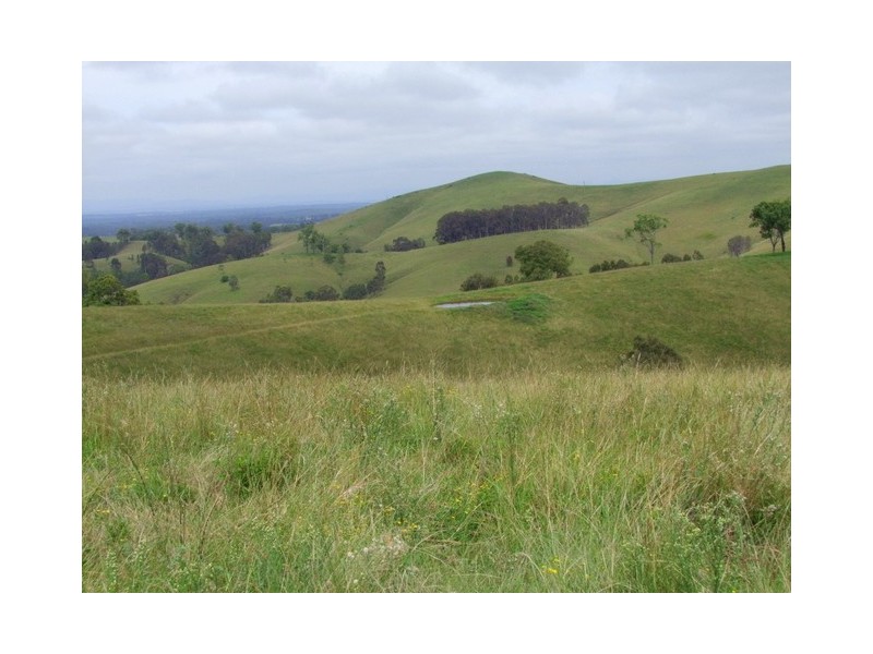 Singleton NSW 2330