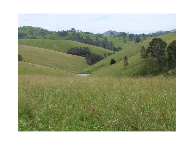 Singleton NSW 2330