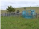 Singleton NSW 2330