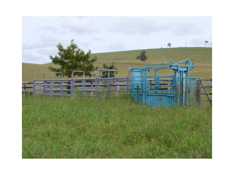 Singleton NSW 2330