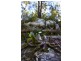 5677 Putty Road, Howes Valley NSW 2330