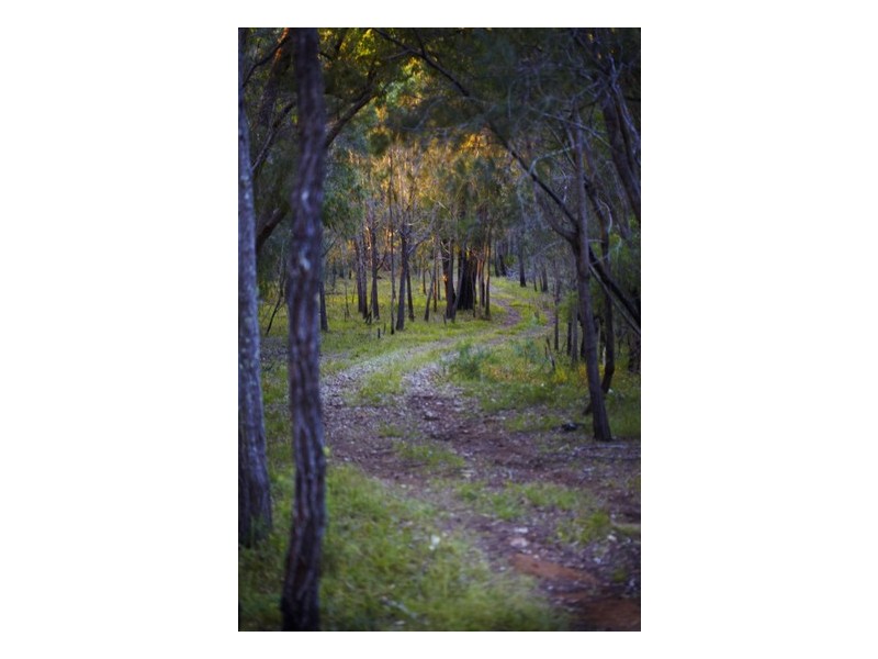 5677 Putty Road, Howes Valley NSW 2330