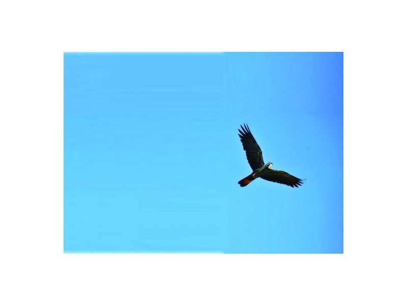 5677 Putty Road, Howes Valley NSW 2330