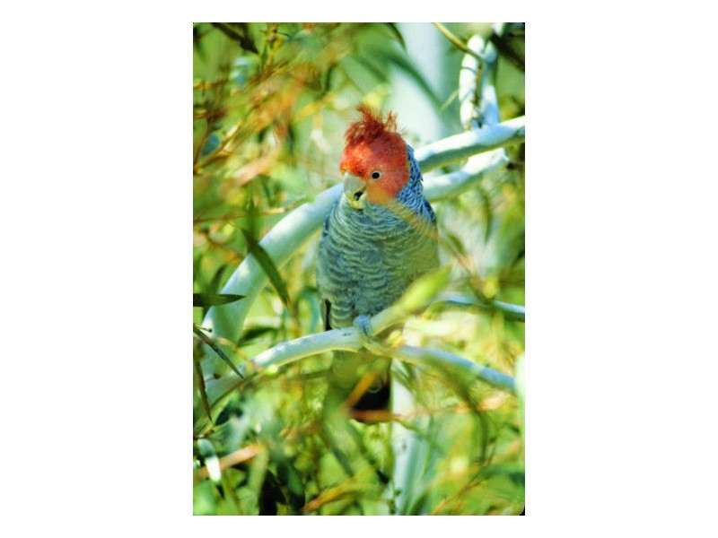 5677 Putty Road, Howes Valley NSW 2330