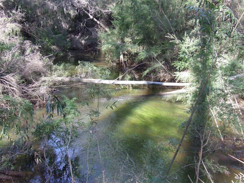 Lot 13  Box Gap Road, Putty NSW 2330