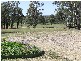 Singleton NSW 2330