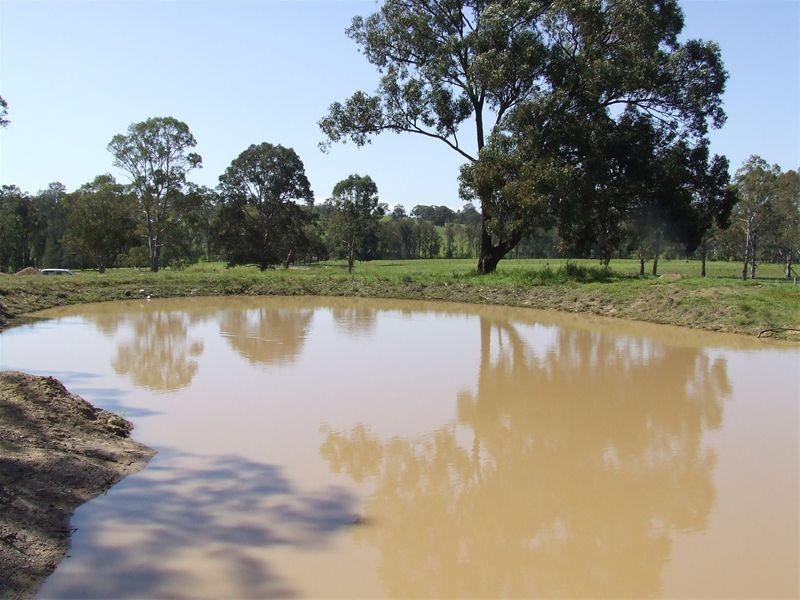 Singleton NSW 2330