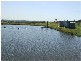 Singleton NSW 2330