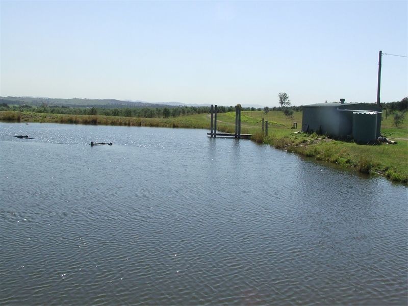Singleton NSW 2330