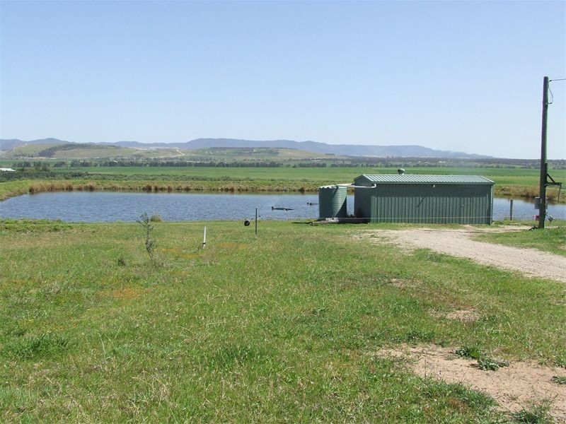 Singleton NSW 2330