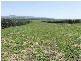 Singleton NSW 2330
