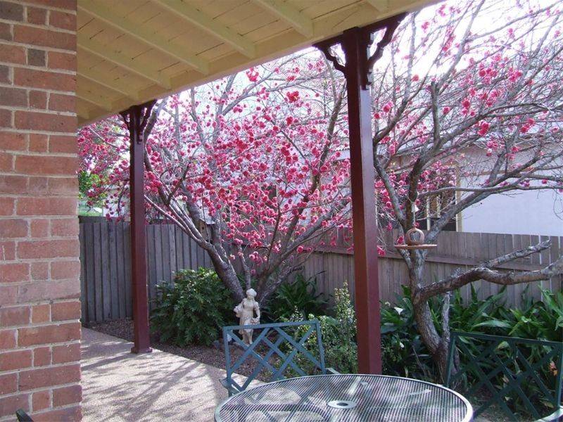 13 Pagan Street, Jerrys Plains NSW 2330