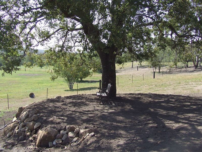 593  Redmanvale Road, Singleton NSW 2330