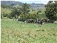Carrowbrook NSW 2330