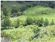 Carrowbrook NSW 2330