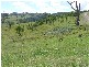 Carrowbrook NSW 2330