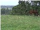 Singleton NSW 2330