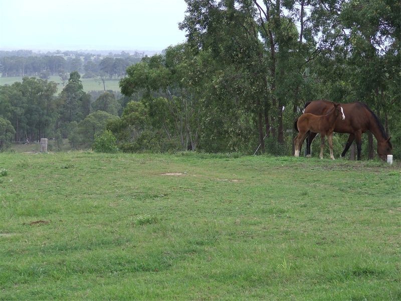 Singleton NSW 2330