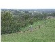 Singleton NSW 2330