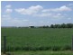 Singleton NSW 2330