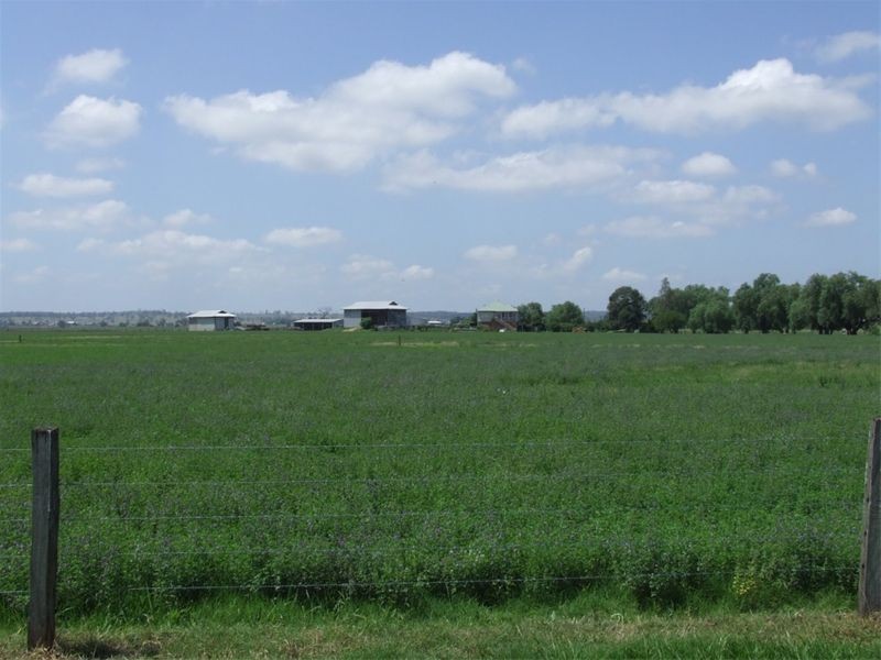 Singleton NSW 2330