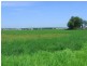 Singleton NSW 2330