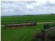 Singleton NSW 2330