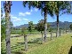 Bulga NSW 2330