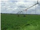 Whittingham NSW 2330