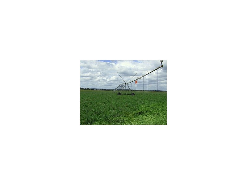 Whittingham NSW 2330