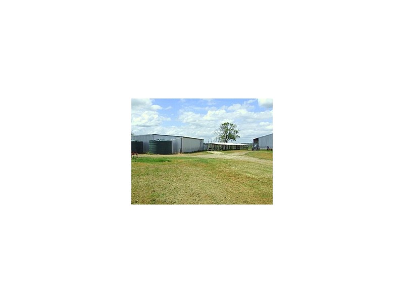 Whittingham NSW 2330