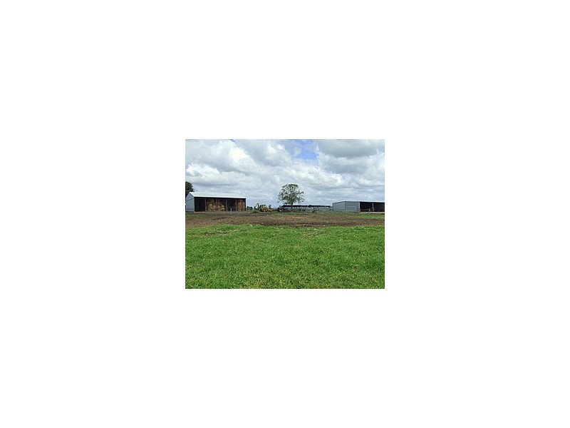 Whittingham NSW 2330