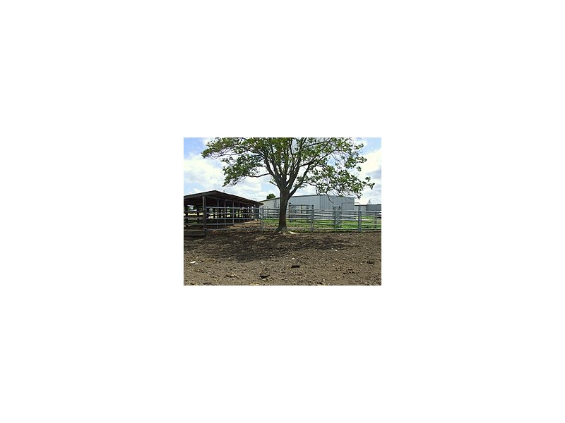 Whittingham NSW 2330