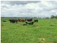 Whittingham NSW 2330