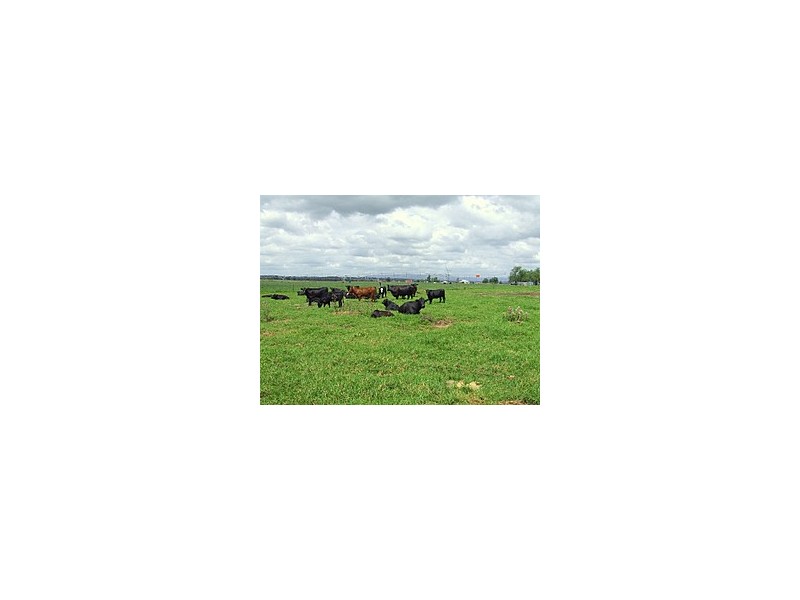 Whittingham NSW 2330