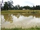 Singleton NSW 2330