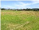 Singleton NSW 2330
