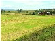 Singleton NSW 2330