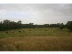 133  Roughit Lane, Singleton NSW 2330