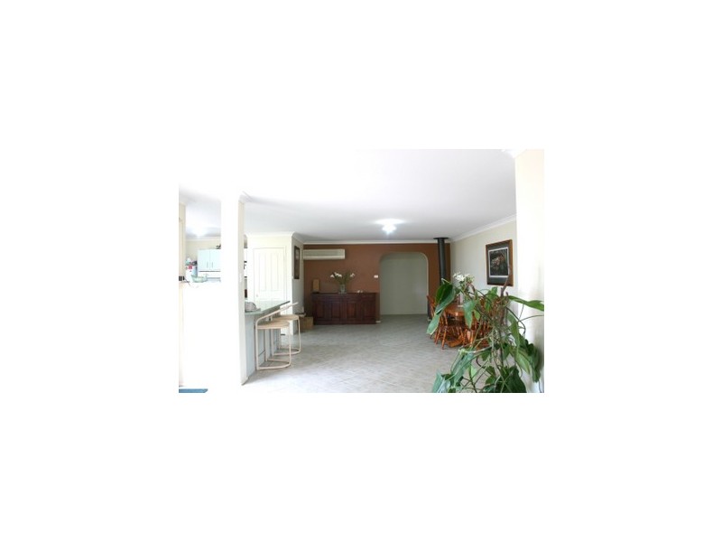 133  Roughit Lane, Singleton NSW 2330